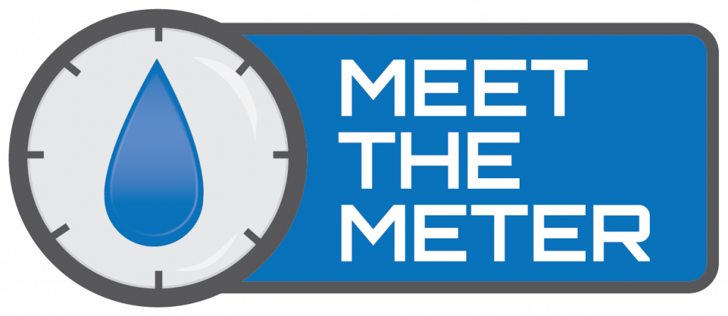 Meet the Meter logo